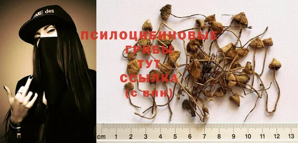 скорость Осинники