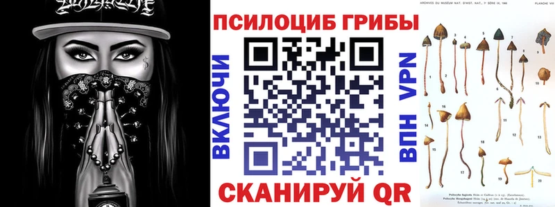 MEGA зеркало  Слободской  Псилоцибиновые грибы Magic Shrooms 