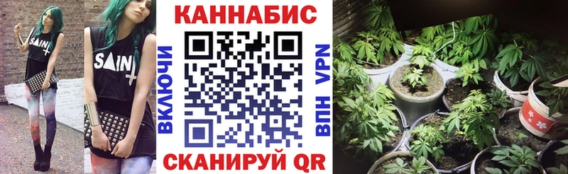 Бошки Шишки гибрид Слободской